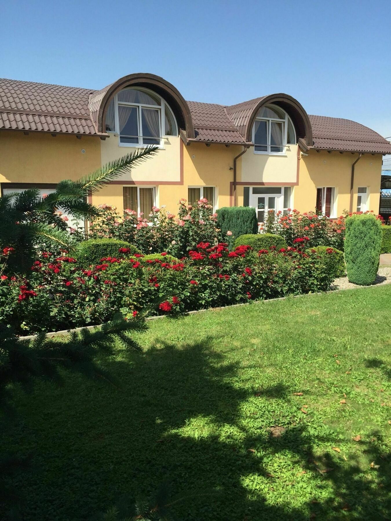 Guest house Pensiunea Zbor 1 3*
